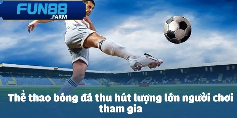Thể thao bóng đá thu hút lượng lớn người chơi tham gia