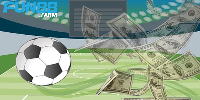 Hành trình cá cược đầy thử thách