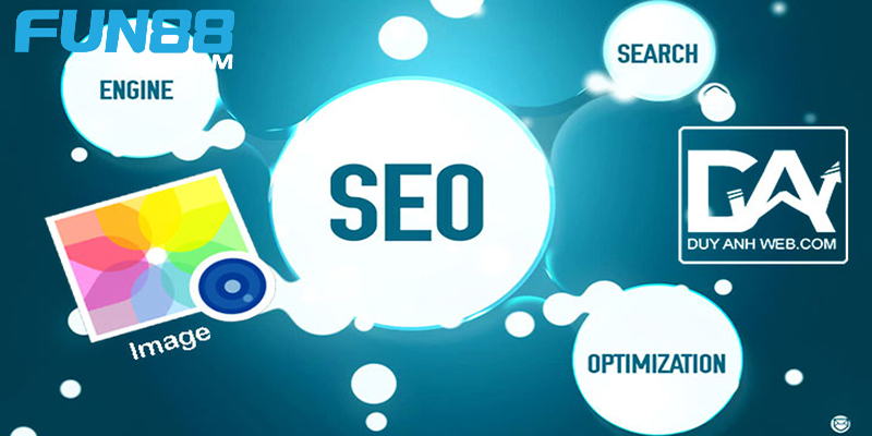 Chịu trách nhiệm tối ưu toàn bộ website