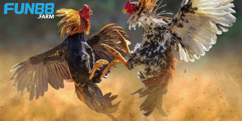 Luôn phải kiên nhẫn và kiểm soát bản thân