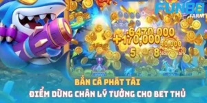 ban-ca-phat-tai-anh-dai-dien