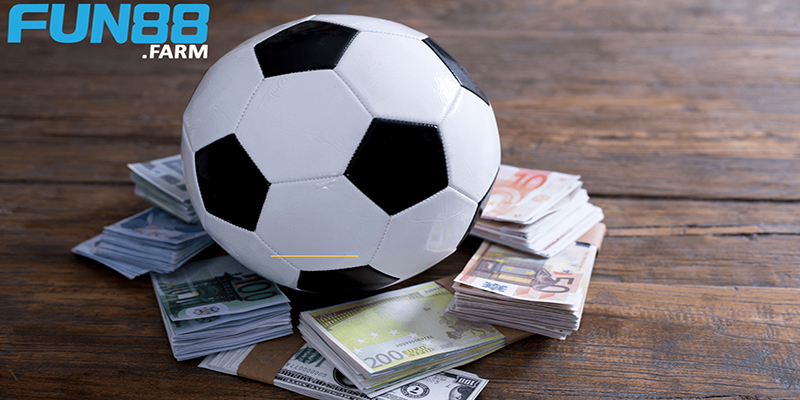 Sự phát triển và tính minh bạch được đảm bảo