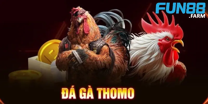 da-ga-thomo-la-mot-hinh-thuc-ca-cuoc-noi-tieng-tai-truong-ga-thomo