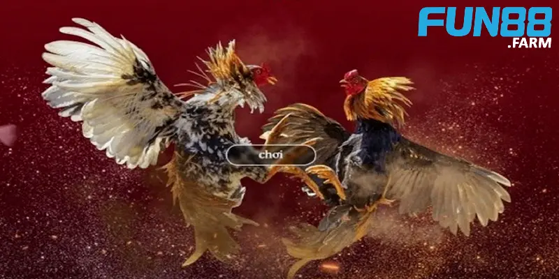 kinh-nghiem-ca-cuoc-da-ga-de-dang-gianh-chien-thang